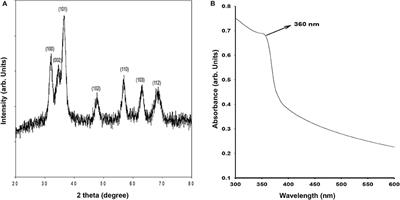 ZnO Quantum Dots: Broad Spectrum Microbicidal Agent Against Multidrug Resistant Pathogens E. coli and C. albicans